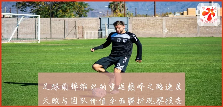 足球前锋维尔纳重返巅峰之路速度天赋与团队价值全面解析观察报告