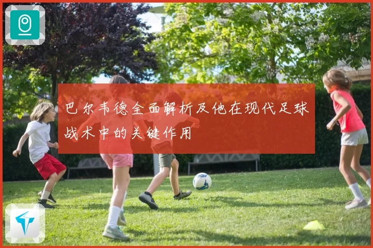 巴尔韦德全面解析及他在现代足球战术中的关键作用