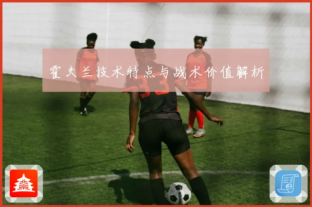霍夫兰技术特点与战术价值解析