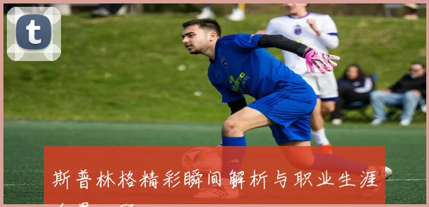 斯普林格精彩瞬间解析与职业生涯全景回顾
