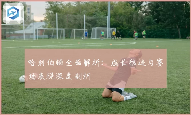 哈利伯顿全面解析：成长轨迹与赛场表现深度剖析