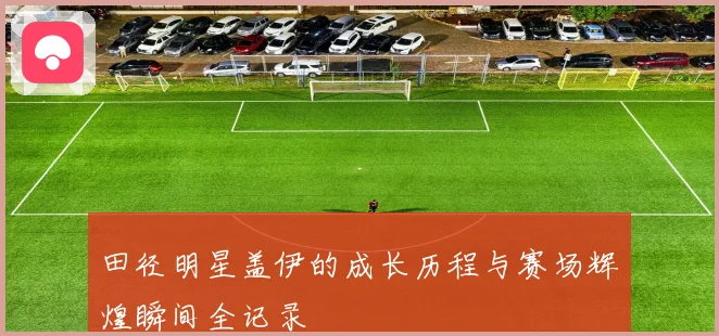 田径明星盖伊的成长历程与赛场辉煌瞬间全记录